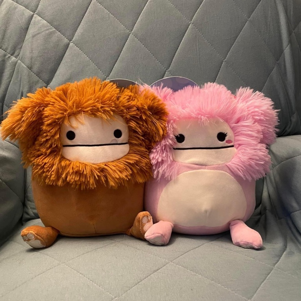 Benny and Brina ( 8 in, Valentine's Day, Walgreens ) Squishmallow Duo